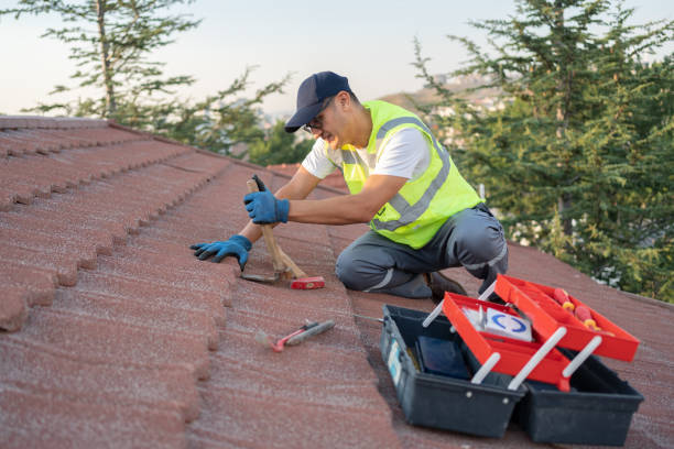 Best Roof Gutter Cleaning  in West Elmira, NY